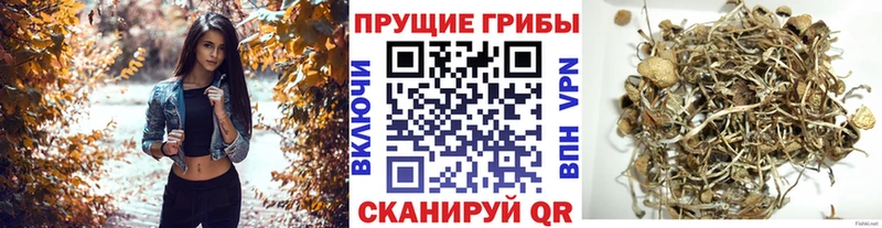 Галлюциногенные грибы Magic Shrooms  Беломорск 